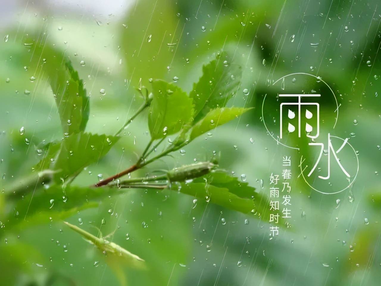 中华好诗词|好雨知时节,当春乃发生