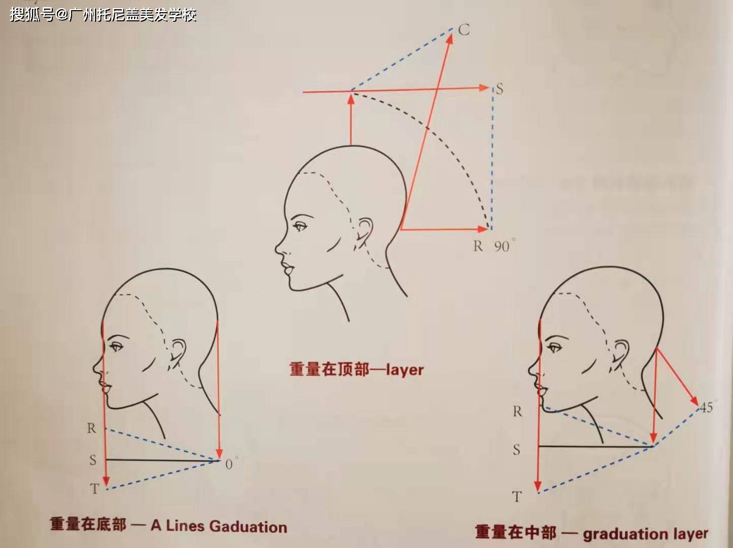 知名美容美发培训学校~托尼尔讲解剪发技术提升的角度,美发学校排行榜