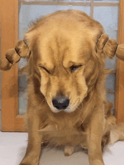 400_533 竖版 竖屏