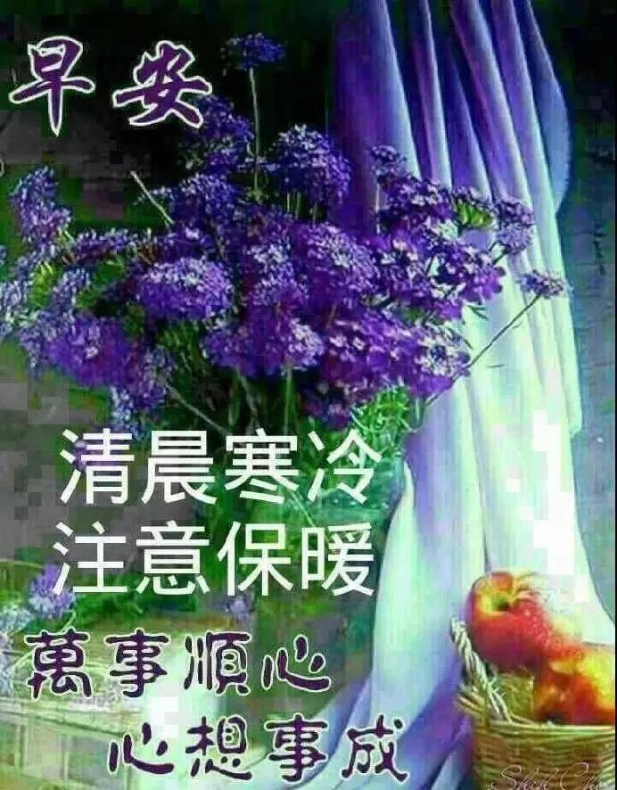 2月25日正月十四清晨早上好问候祝福动态表情图片