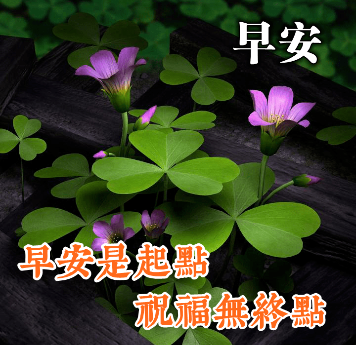 早上好!祝福图片,新的一天,祝事事顺心如意,愿你开心快乐