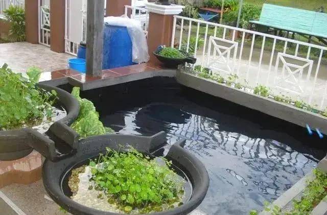 圆梦记| 16吨小院鱼池建池全过程分享