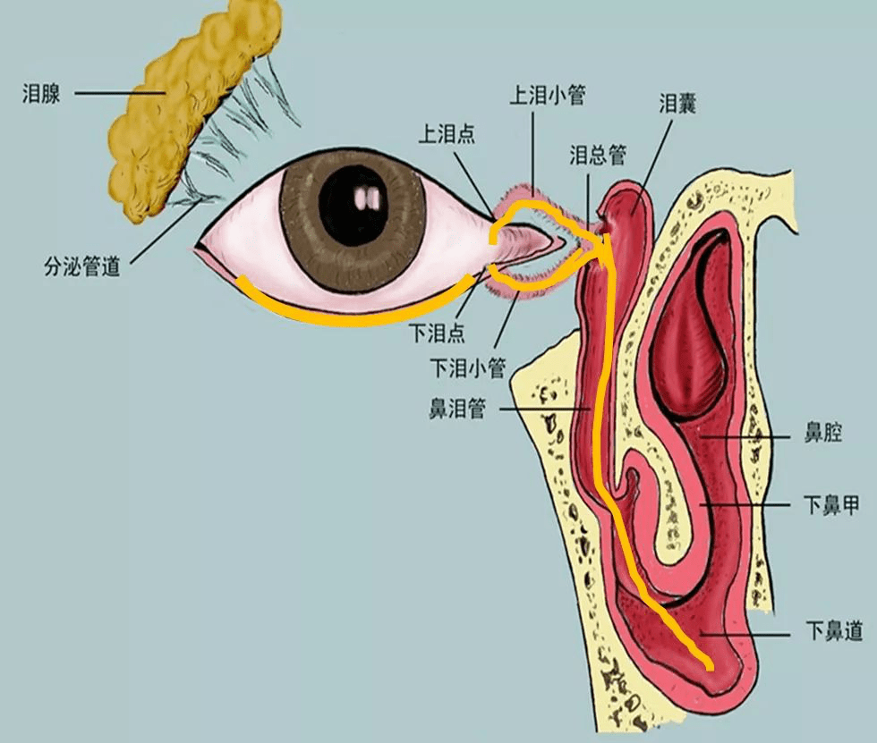 " 那就别再忍了!