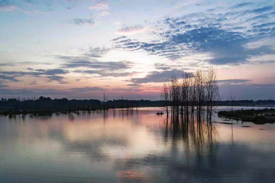 涡阳湿地公园