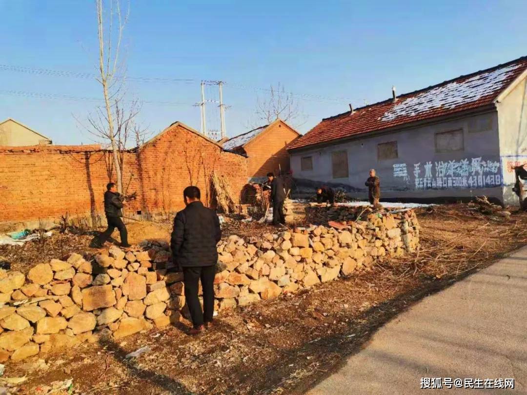 临朐柳山镇:不负春季好时光 绿化提升工作忙