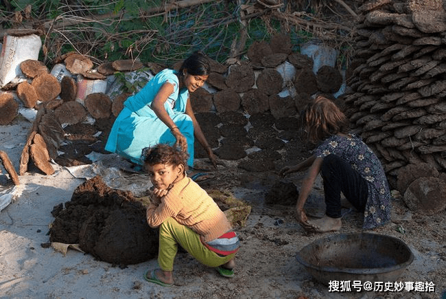 印度"牛粪饼"一盒卖30元,想开拓中国市场,预言中国人会抢购