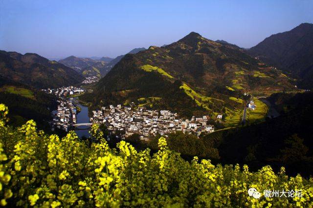 花期:3月—4月武阳乡地处安徽省歙县南乡,新安江畔,乡村山水间飘渺着