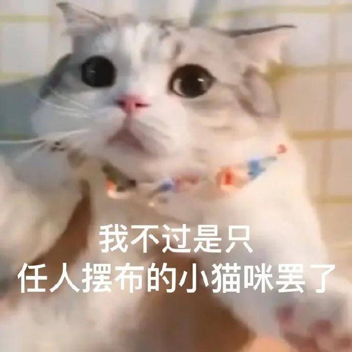幽默搞笑表情包:一口把你吃掉