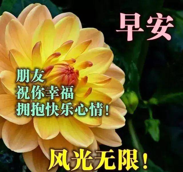 原创朋友圈超温馨早安祝福语短信大全 问候早上好表情图片大全