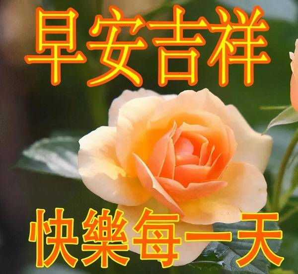 2021正月廿五早安吉祥祝福送给你,祝你新的一周福气满满,财运连连