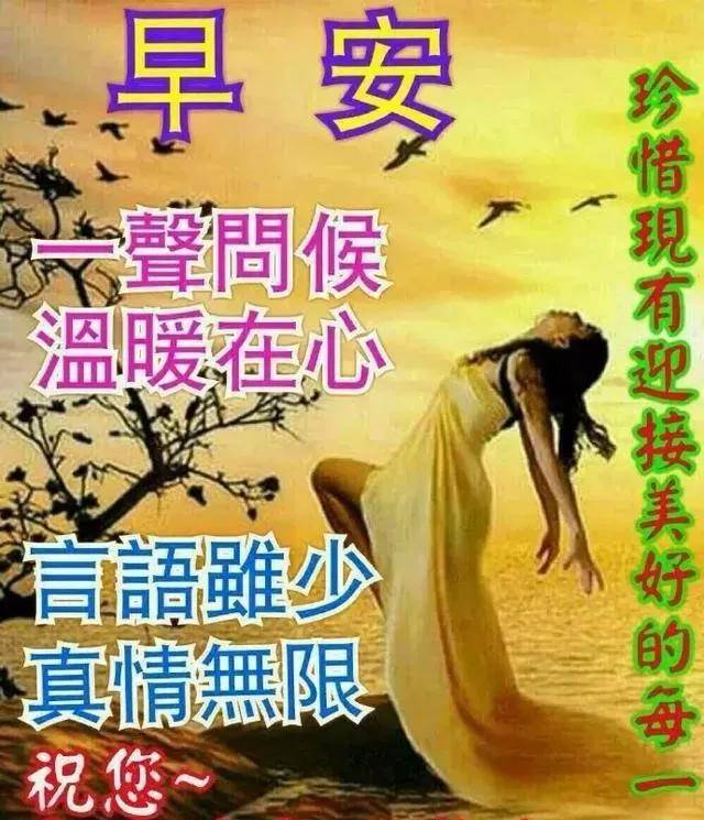 原创清早问候大全图片鲜花带字 清晨表情图片早上好祝福语