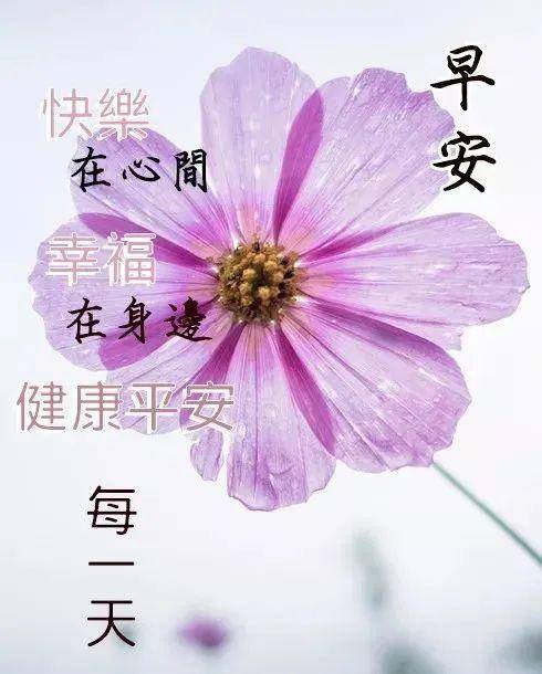 早晨和女孩聊天的开场白 三月二十四日早上好图片