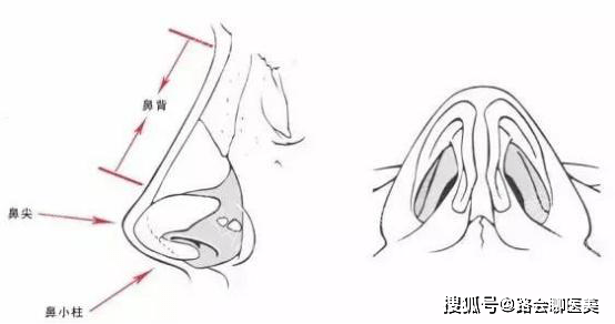 隆鼻会影响嗅觉吗选择哪种隆鼻材料好呢