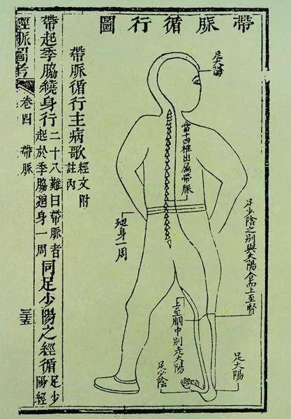 带脉循行图