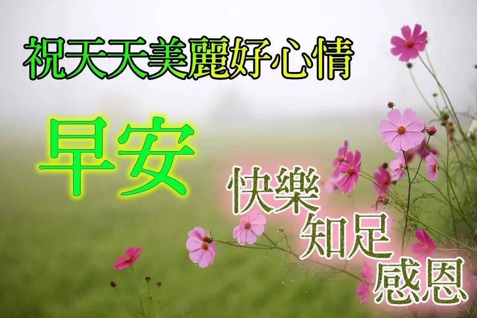 问候早上好漂亮表情动态图片 早安祝福短语大全