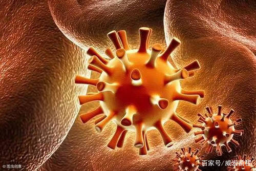 威宏科普:为什么生殖器疱疹的误诊率偏高