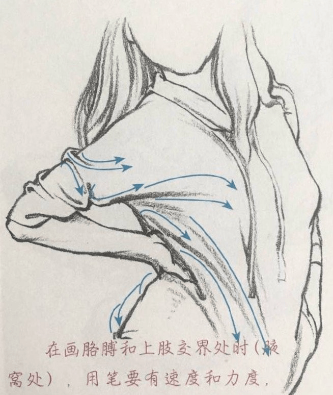 人物速写细节局部参考#美术生#遇见艺术#绘画参考