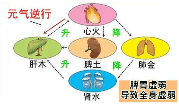 他的身体因为寒气入体很多年,导致了脾胃的问题,那这元气在到达脾之前