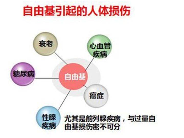 1分钟认识自由基,你再来问健康的人要不要补充虾青素