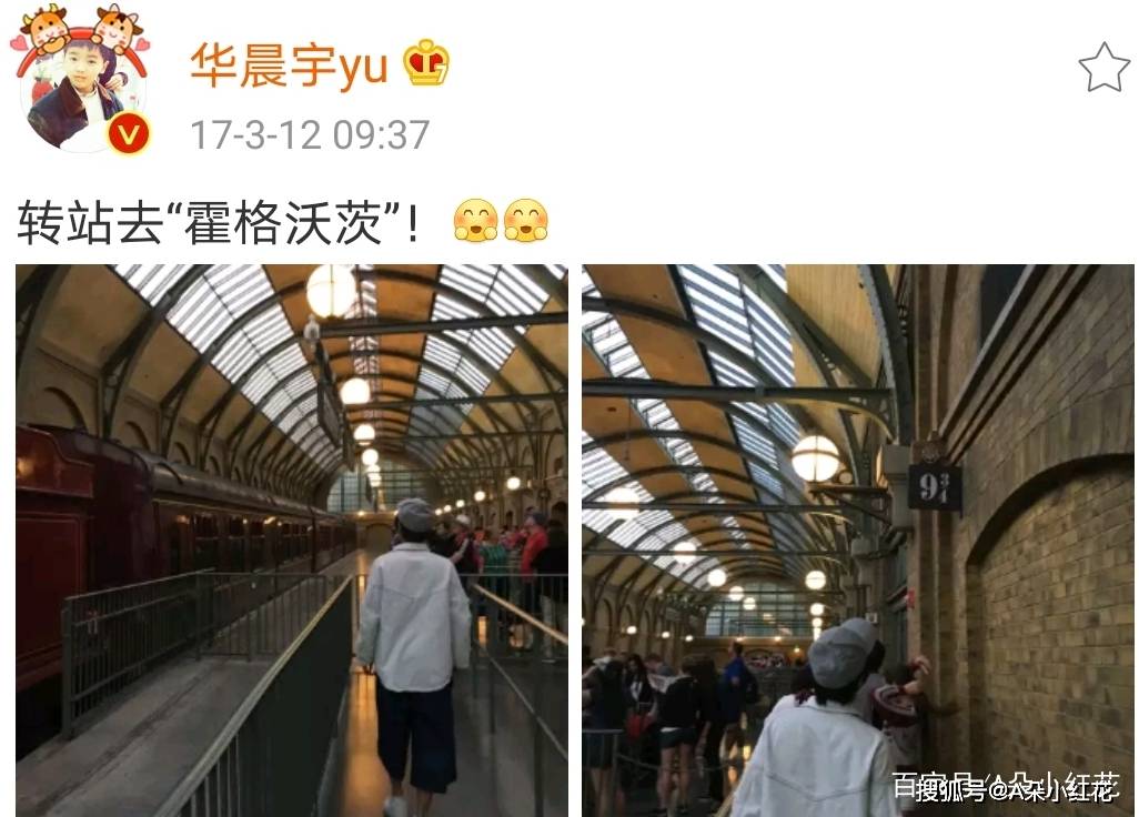王牌对王牌华晨宇cos哈利波特,与郎朗再合作《微光》