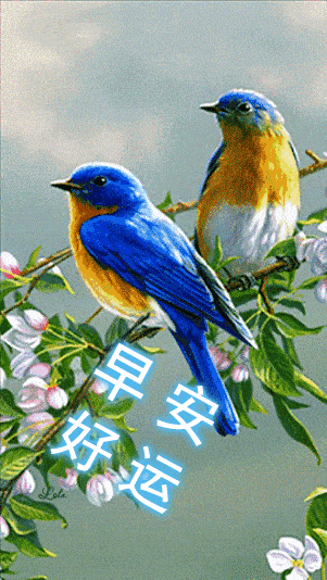 最漂亮早上好动态图片大全 最美清晨图片加问候语