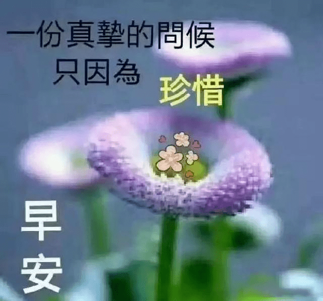 最漂亮早上好动态图片大全 最美清晨图片加问候语