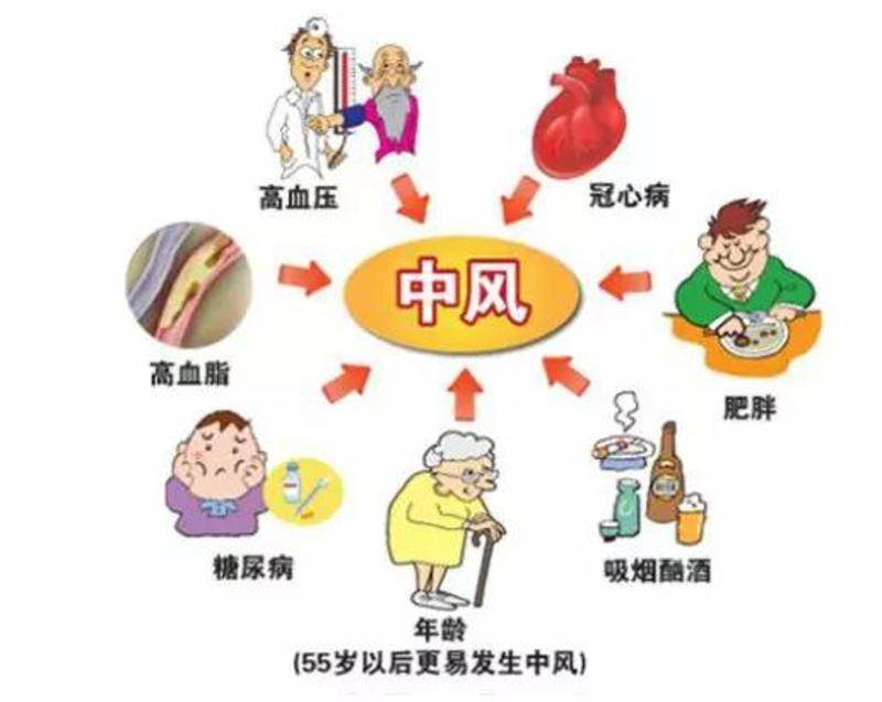 国医堂张磊:中医辨证针对心脑血管疾病的优势