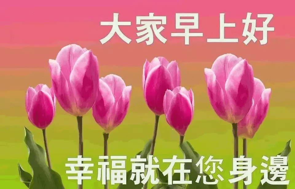 超级漂亮的早安祝福图片 非常走心的早安问候语-搜狐