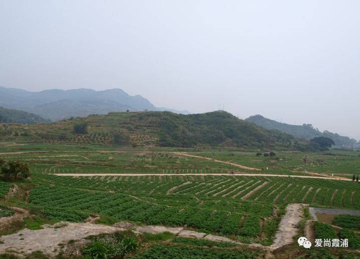 原味霞浦:从黄瓜山走来
