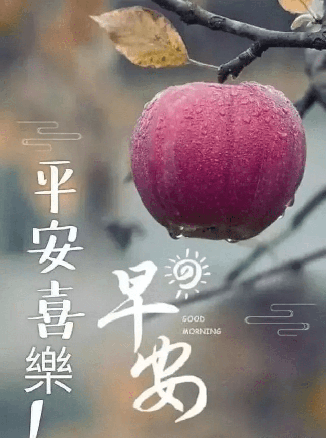 夏季走心的早安心语句子 最个性好看的早安的动态图片