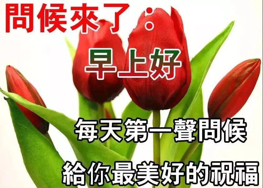 2021早上问候语和图片,2021早上好问候语图片 6张创意漂亮免打字早上好图片带祝福语 2021最新早上问候语图片带字