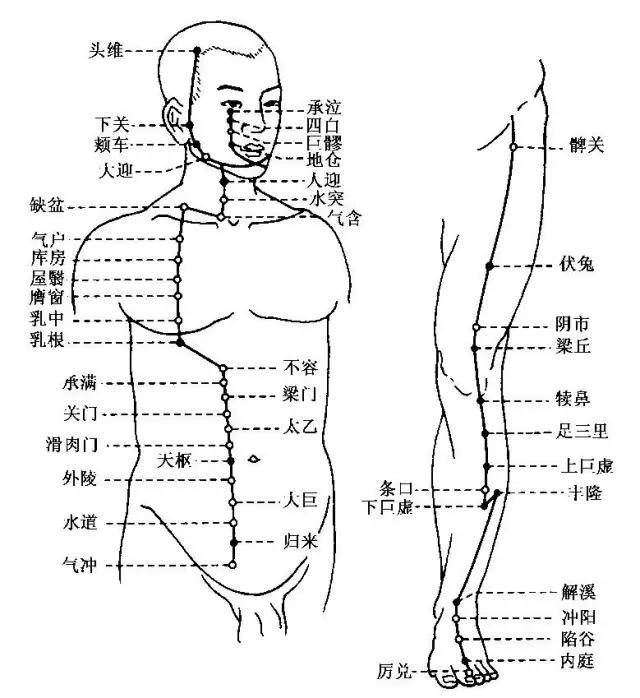 支撑生命的"能量线,这两条经络你必须知道!_脾胃