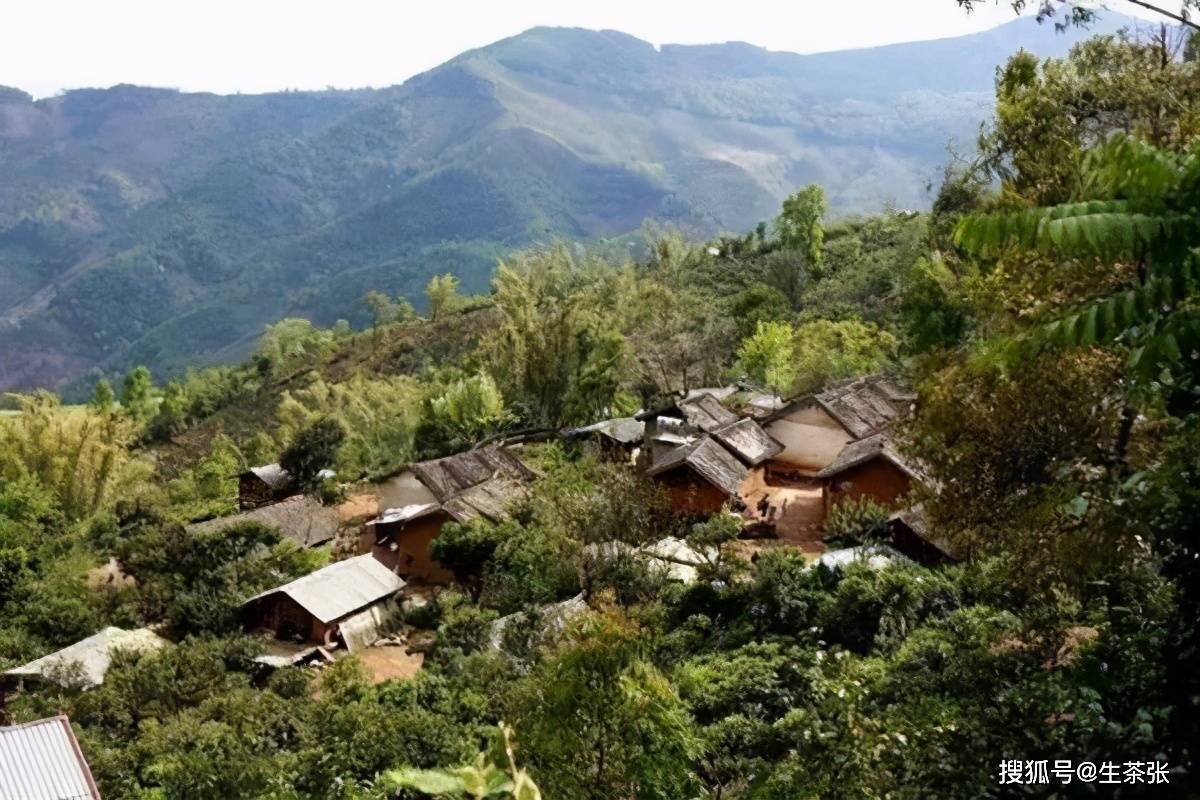 每个山头普洱茶有什么特点?