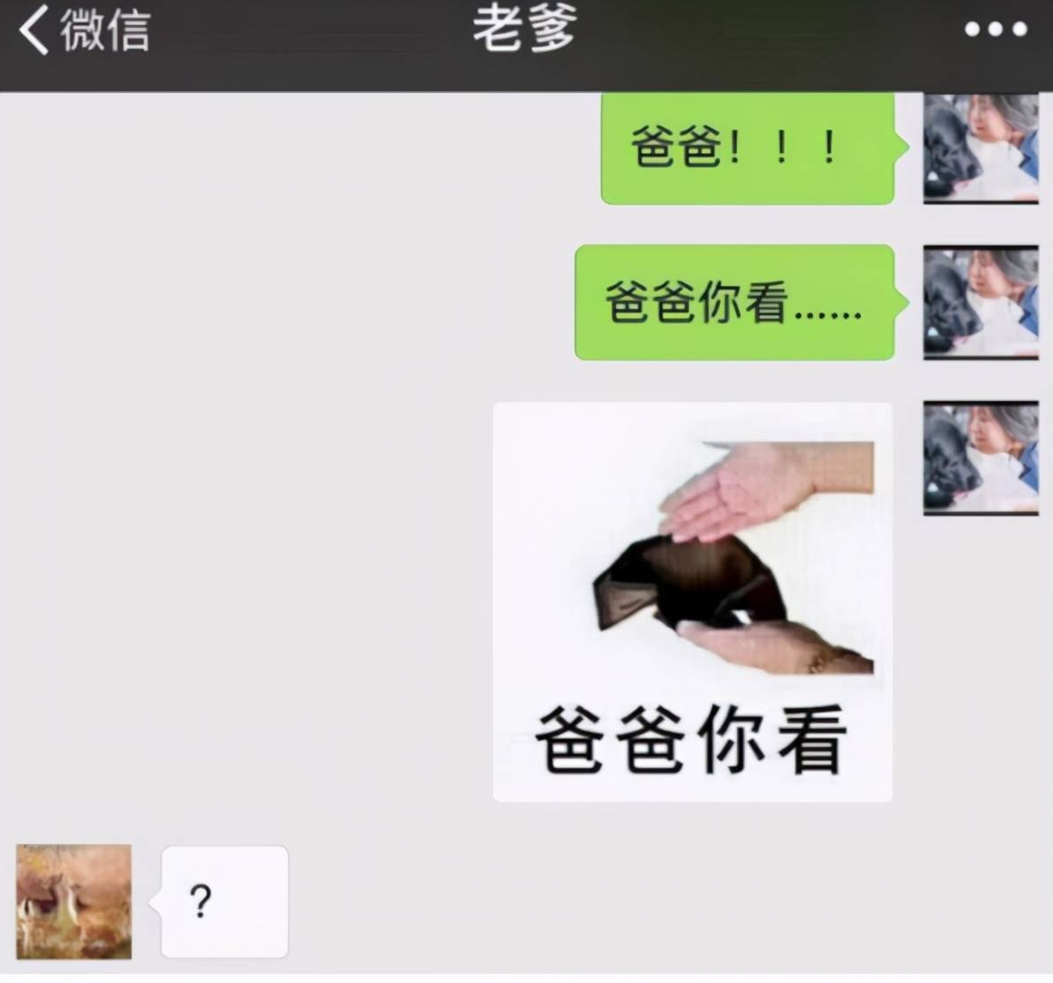 大学生用"表情包"讨生活费,遭遇耿直家长,网友表示心凉半截