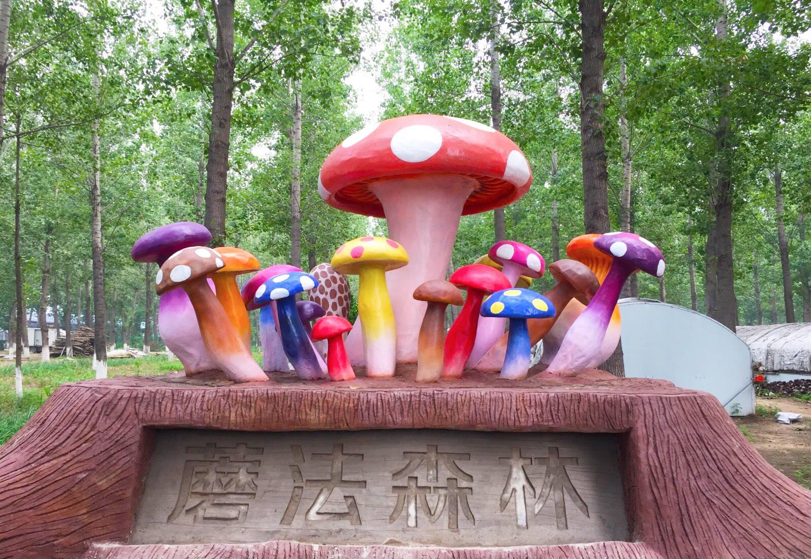原创北京5个超赞的户外亲子乐园,每周去一个,这个春天有的玩了