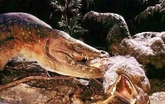 史上最恐怖蜥蜴,轻松吃掉东北虎,重达一吨无天敌,灭绝