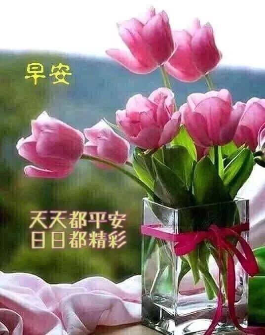 3.21免打字早上好表情动态图,最美祝福早上好的话语