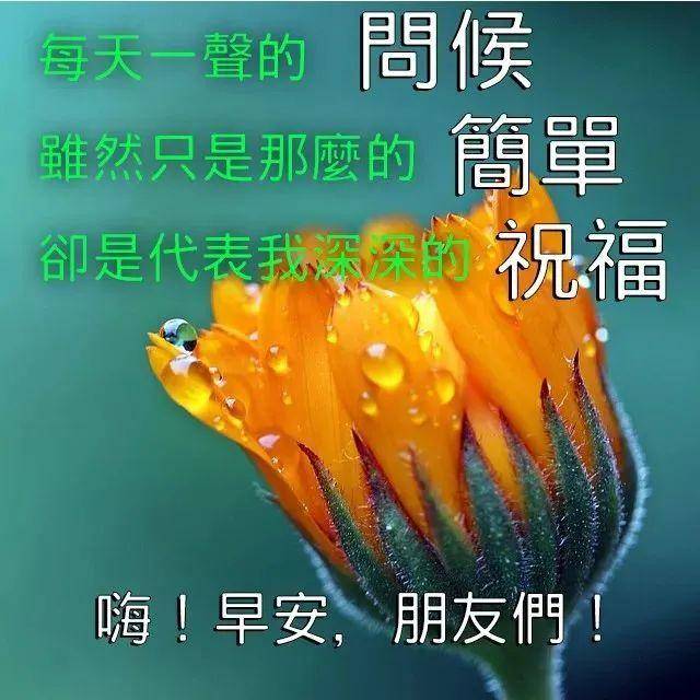 早上好祝福问候语图片带字,暖心的早上好祝福表情图片