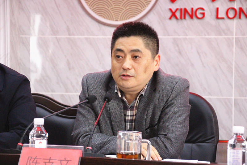 桃源县委副书记陈支文讲话