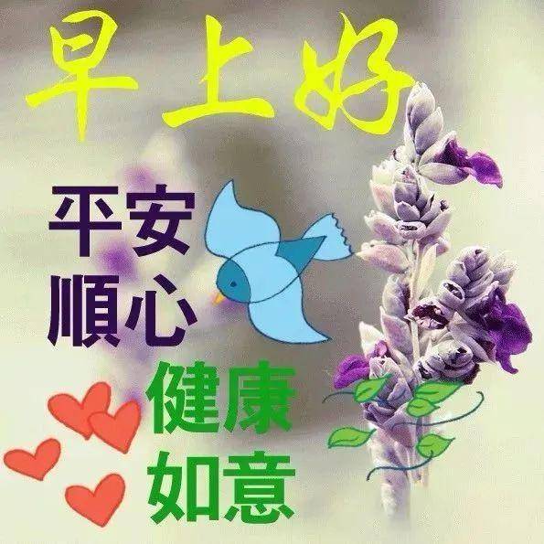清晨适合微信群发的早安问候祝福唯美图片 早上好短信