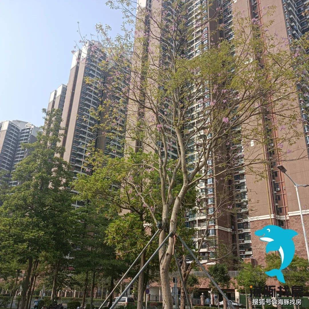 玖裕茗院正在紧张施工中,目前已经出地面很多,估计也快开盘了,计划