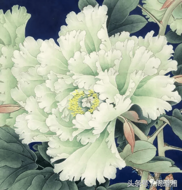 工笔牡丹(豆绿)设色步骤_花头