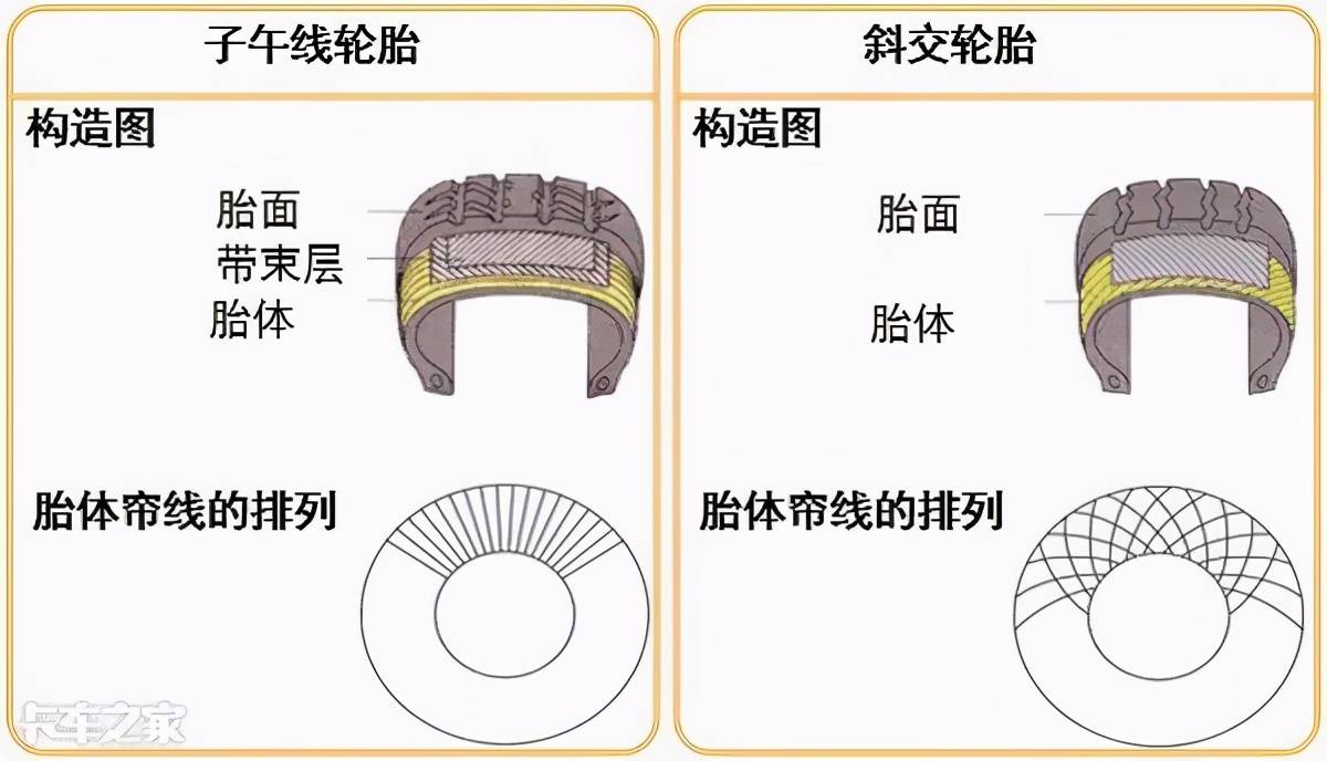 胎体 来自搜狐网