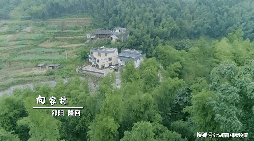 示范村""美丽乡村示范村""旅游扶贫示范村"……而这一切变化的背后,都