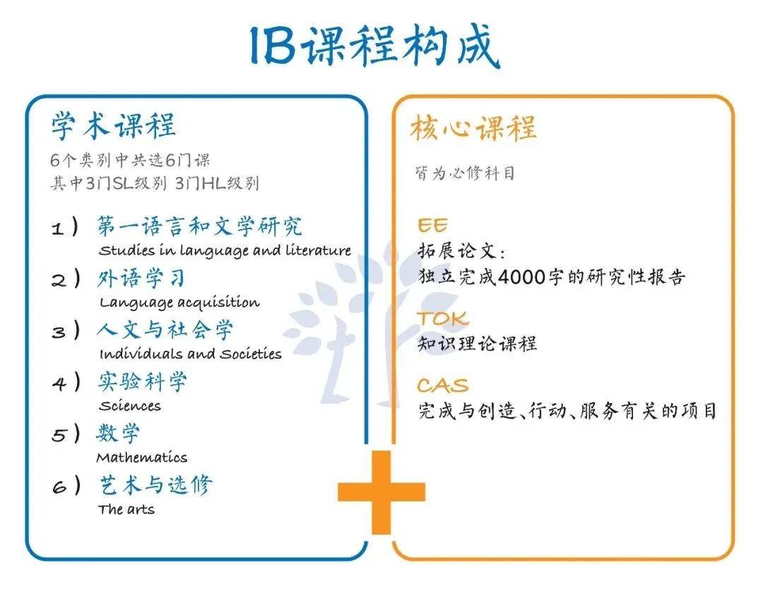 顶尖大学更青睐ib学生?真相是