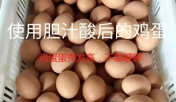 后来董总在了解所有情况以后,给杨老板拿了二件胆汁酸,并告诉他,一定