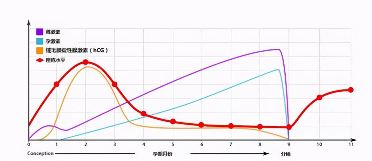 怀孕后孕妈的口味会发生变化但偏爱这两种口味的孕妈要当心