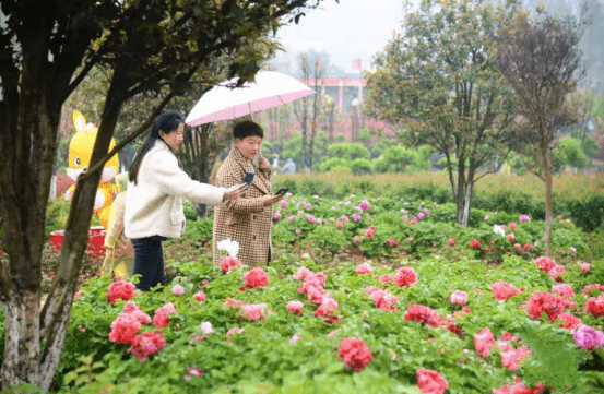 河南方城:2021中国·方城第五届牡丹花节暨万亩花海旅游节开幕