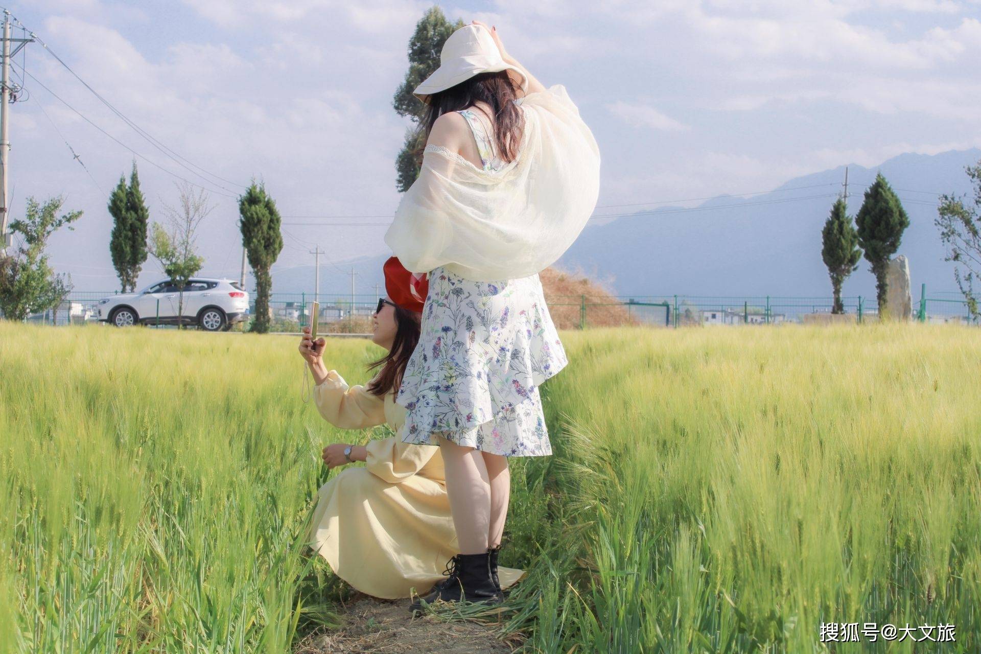 大理的麦田也太美了_麦浪