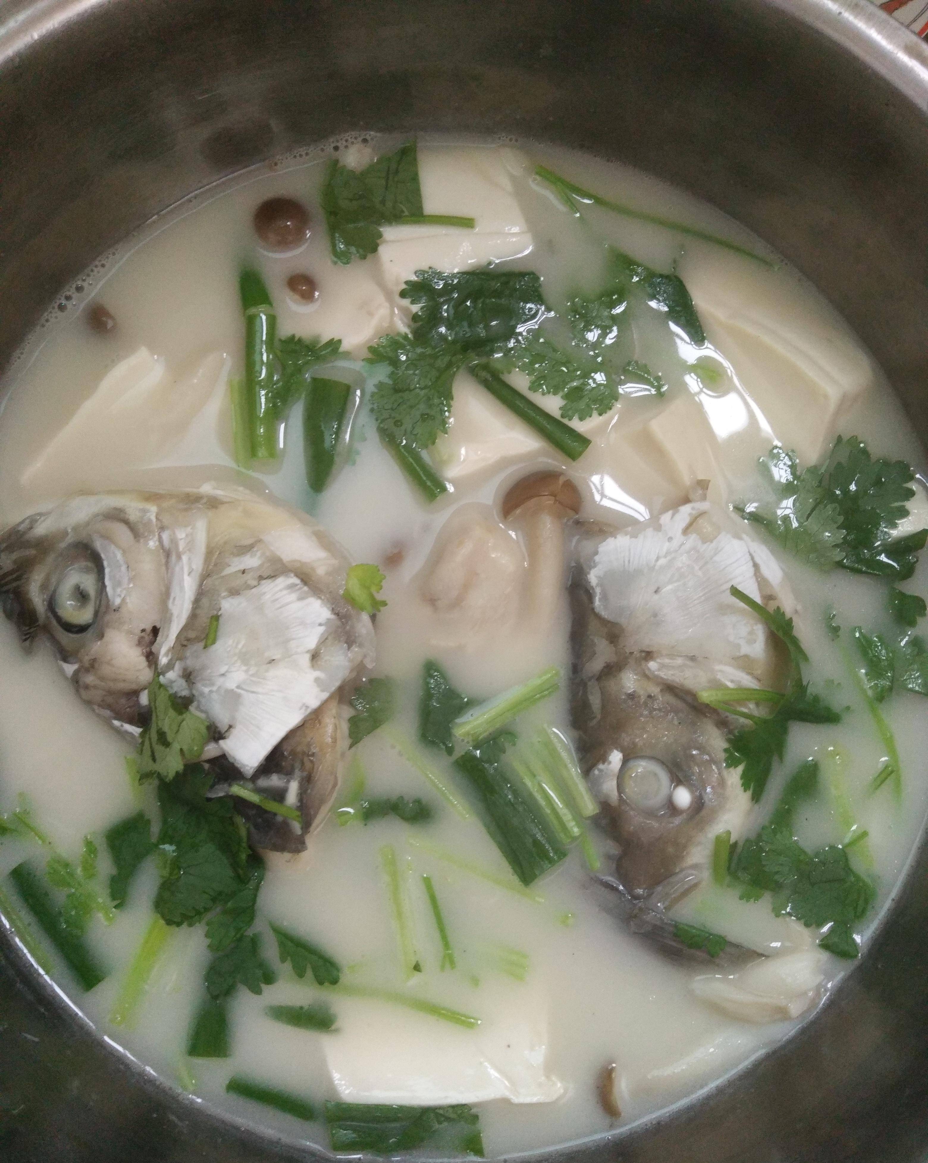 原创特别有营养的鱼头鱼尾豆腐蘑菇汤 全家都爱喝!